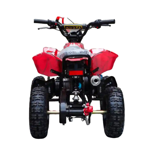 Cuatrimoto de Gasolina ZC-Y-113