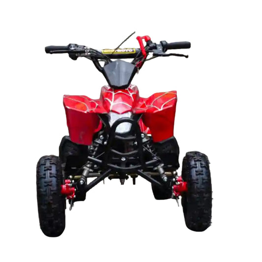 Cuatrimoto de Gasolina ZC-Y-113